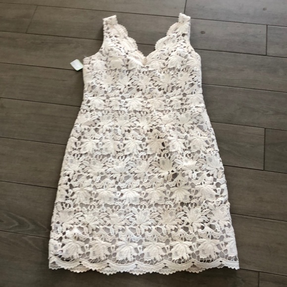 Ann Taylor Dresses & Skirts - Ann Taylor lace summer dress